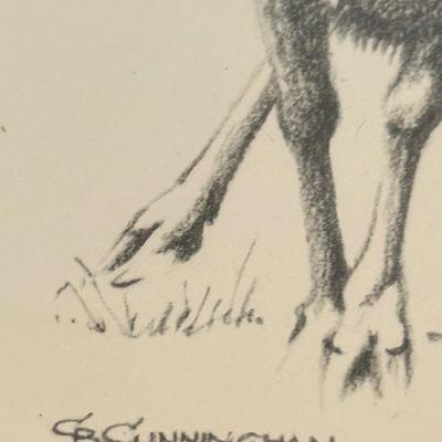 LOT 179F: Signed B Cunningham Animal Drawing