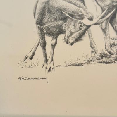 LOT 179F: Signed B Cunningham Animal Drawing