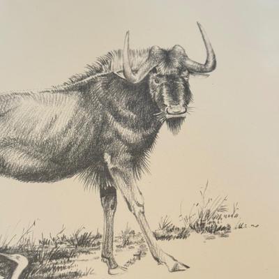 LOT 179F: Signed B Cunningham Animal Drawing