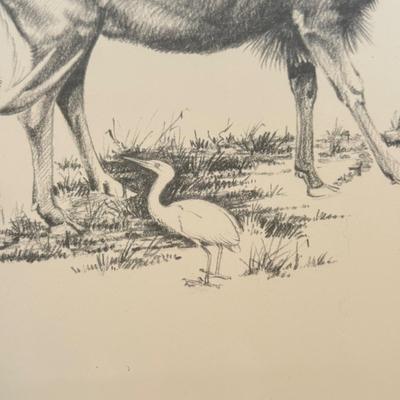 LOT 179F: Signed B Cunningham Animal Drawing