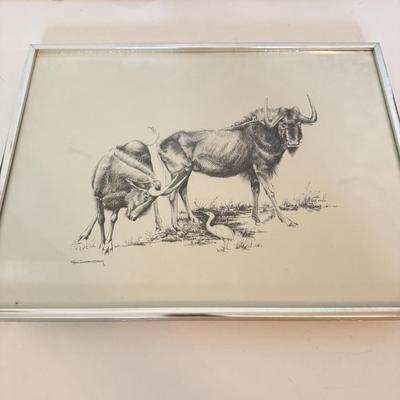 LOT 179F: Signed B Cunningham Animal Drawing