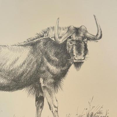 LOT 179F: Signed B Cunningham Animal Drawing