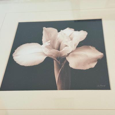 LOT 231F: Trio of Signed Flower Prints