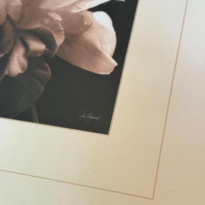 LOT 231F: Trio of Signed Flower Prints