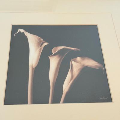 LOT 231F: Trio of Signed Flower Prints