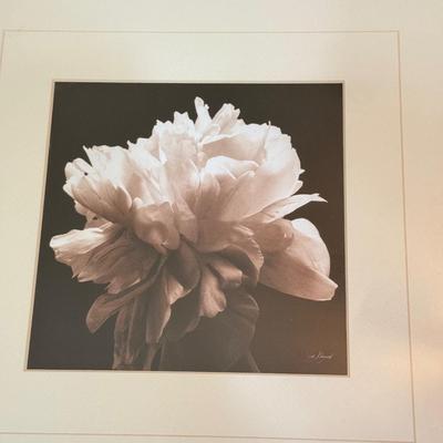 LOT 231F: Trio of Signed Flower Prints