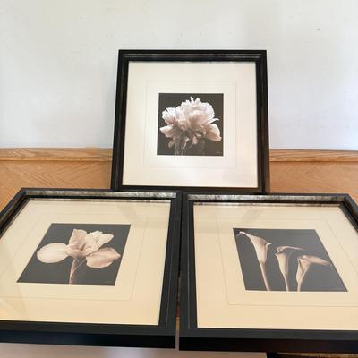 LOT 231F: Trio of Signed Flower Prints