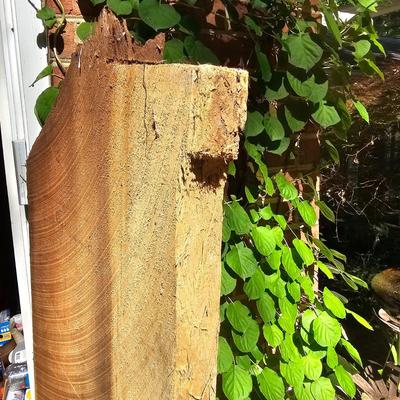 Rough-Cut Wood Slab for Mantle or Other (G-JS)