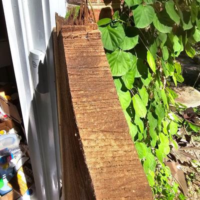 Rough-Cut Wood Slab for Mantle or Other (G-JS)