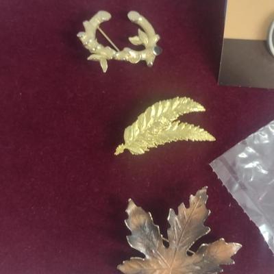 Collection of Brooches (#43)