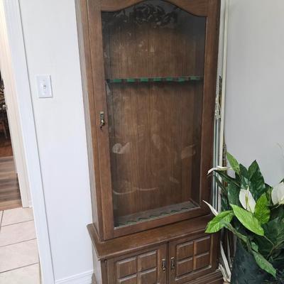 Pew pew cabinet