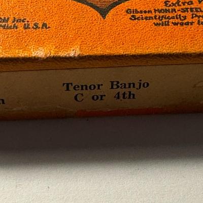GIBSON Mona Steel strings