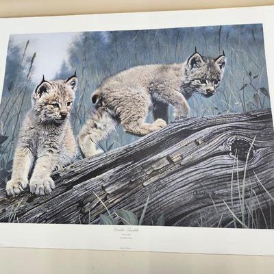 Sale Photo Thumbnail #336: Lynx  Lynx  
Jacketed, No COA
signed  Numbered 1912/2500
Limited Edition 
23 inches tall x 30 inches wide