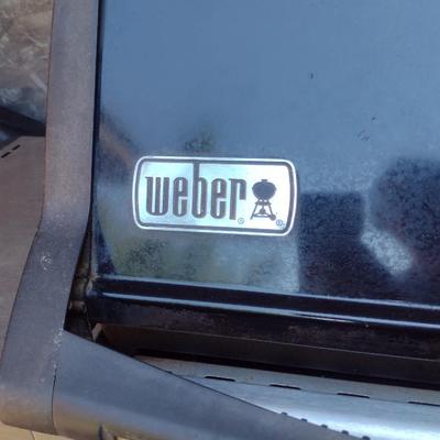 Weber 'Spirit' Propane Grill with Cover