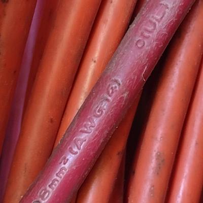 Collection of Outdoor Accessories- Cords, Hose, Rope