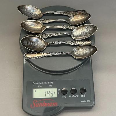 Sterling Silver - State Souvenir Spoons (6) - 145g