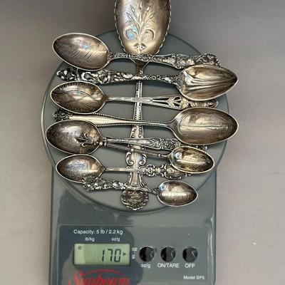 Sterling Silver - State Souvenir Spoons & Serving Spoon (9) - 170g