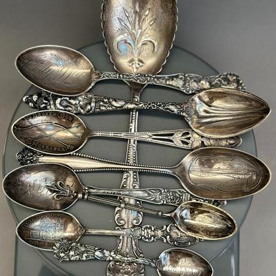 Sterling Silver - State Souvenir Spoons & Serving Spoon (9) - 170g