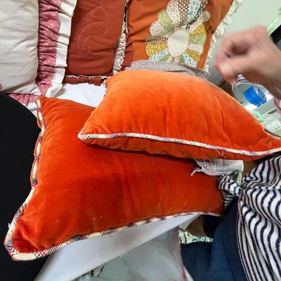 Lot 229 Pillows