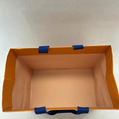 Louis Vuitton Bag (Empty)