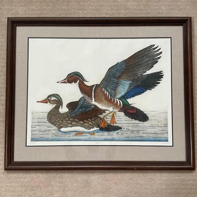 073 "Wood Ducks" By Dan Mitra, Doubled Matted Handcolored Etching