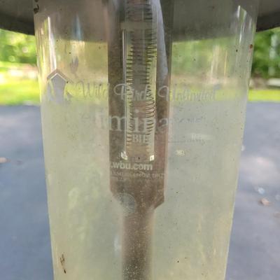 Bird Feeder Collection (S-EL)