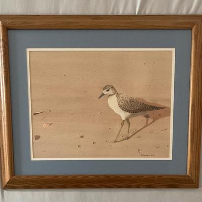 C208 Original Watercolor of Sandpiper on Beach by Robert Bevard