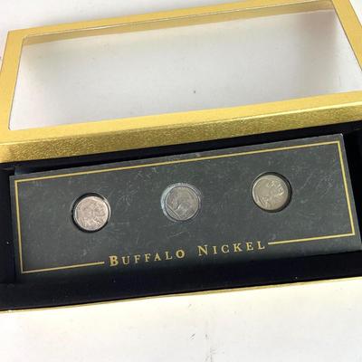 L123 Encased 3 Buffalo Nickels