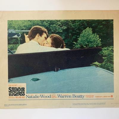 Splendor in the Grass original 1961 vintage lobby card