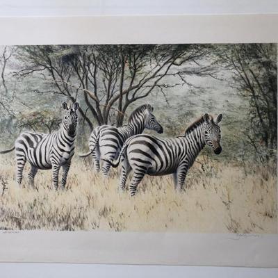 A Dazzle of Zebras Print