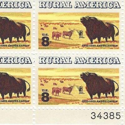 Rural America Angus Cattle Plate Block