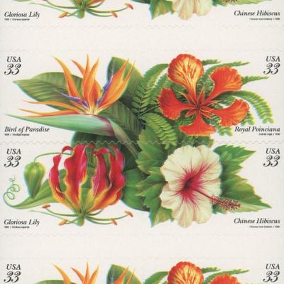 Tropical Flowers Full Stamp Book