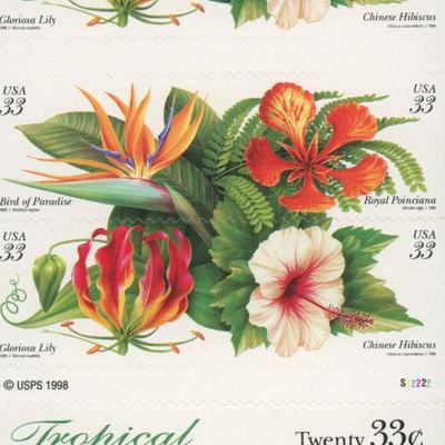 Tropical Flowers Full Stamp Book