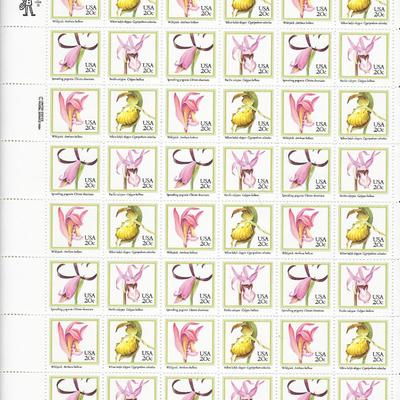 Orchid Stamps