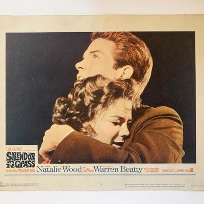 Splendor in the Grass original 1961 vintage lobby card
