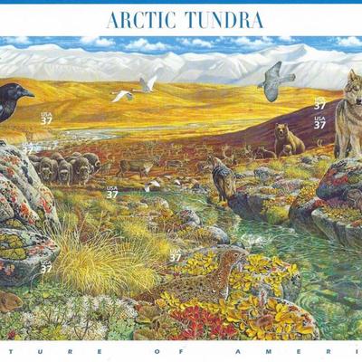 Nature of America: Arctic Tundra Stamps
