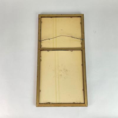 K154 Mirror with Goose Print
