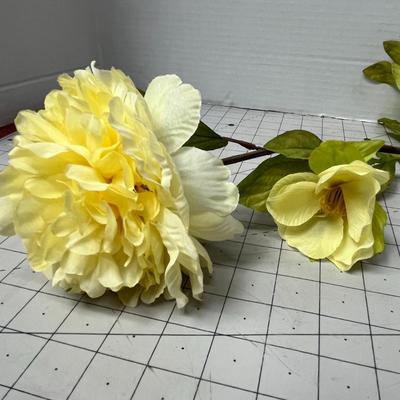 Sale Photo Thumbnail #429: Large and Lush Cream Yellow Peony Flowers and Vibrant Green Foliage.