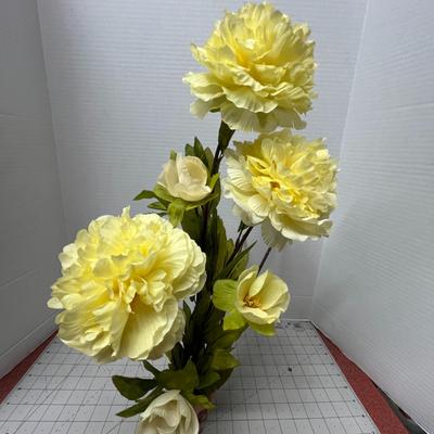 Sale Photo Thumbnail #427: Large and Lush Cream Yellow Peony Flowers and Vibrant Green Foliage.