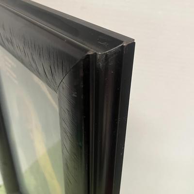 Sale Photo Thumbnail #801: Elegant black frame fits 11x17 art or photographs beautifully.