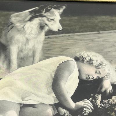 Sale Photo Thumbnail #929: Classic vintage framed photo featuring child and dog, wood frame included.