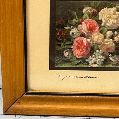 Sale Photo Thumbnail #967: Pair of vintage floral prints framed in natural wood.