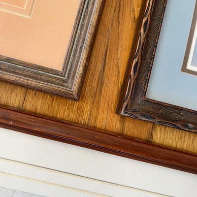 Lot 240 Nature prints