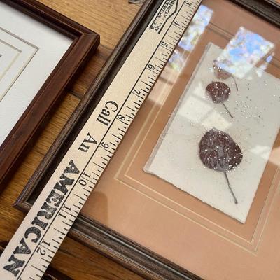 Lot 240 Nature prints