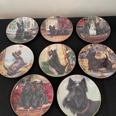 8 Scottie Dog Decorative Plates