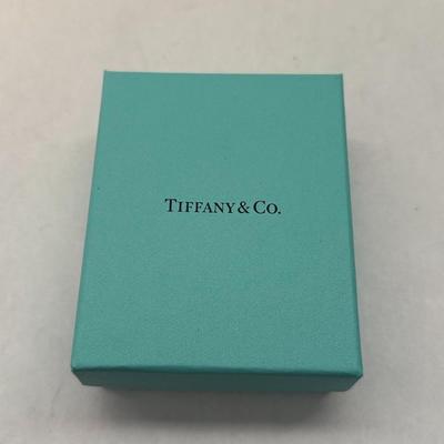 Tiffany & Co. Bracelet Bag & Box (Empty)