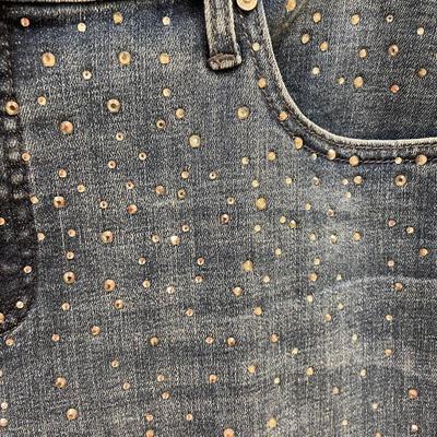 Chicos NWT Sparkle Denim Size 2R