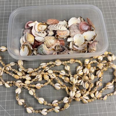 Sale Photo Thumbnail #742: I hear Hawaii Calling!!! Genuine Sea Shells. 