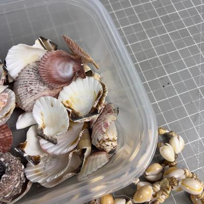 Sale Photo Thumbnail #744: I hear Hawaii Calling!!! Genuine Sea Shells. 
