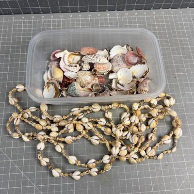 Sale Photo Thumbnail #743: I hear Hawaii Calling!!! Genuine Sea Shells. 